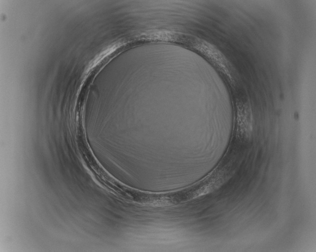 X0000081330674200701251834