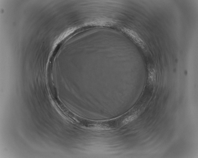 X0000081330678200701251834
