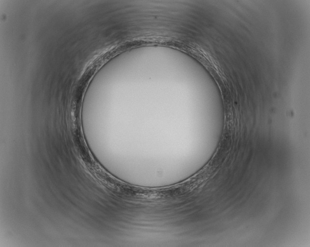 X0000081330688200701251834