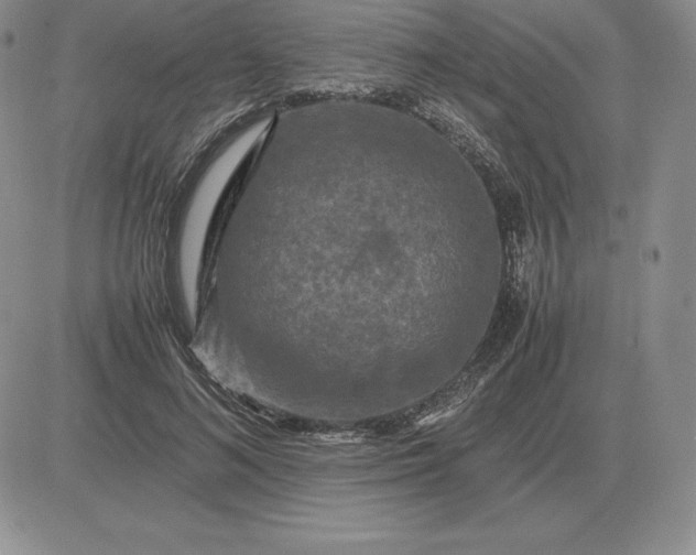 X0000081330692200701251833