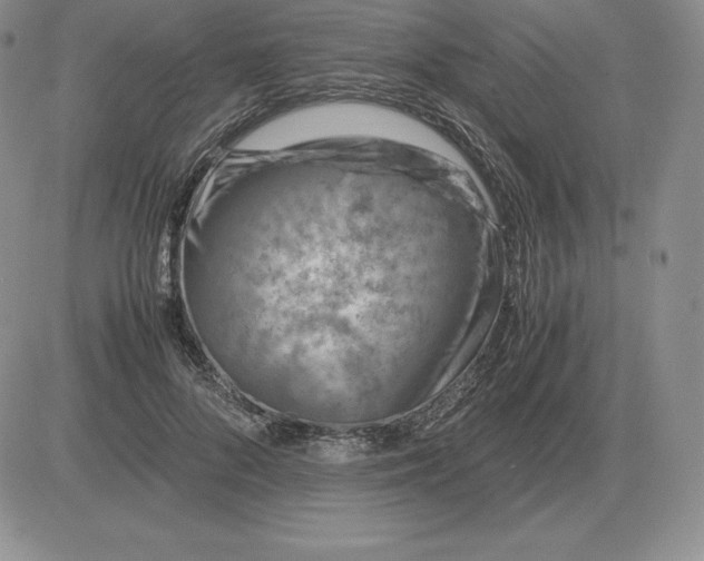 X0000081330696200701251833