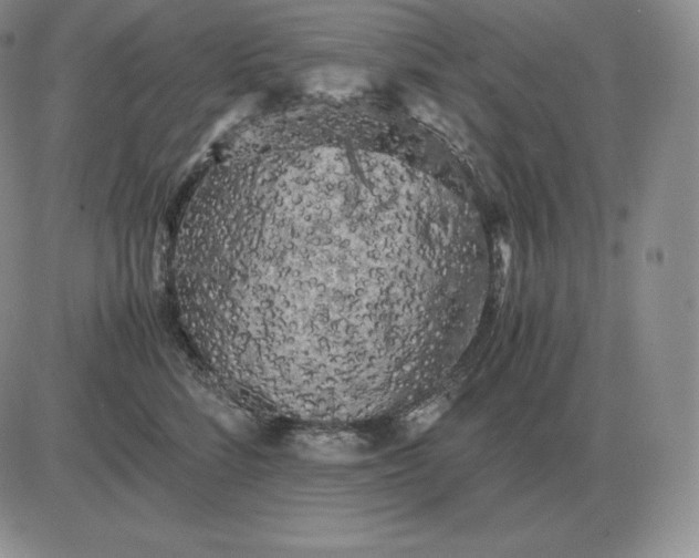 X0000081330712200701251833