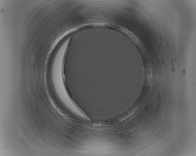 X0000081330728200701251832
