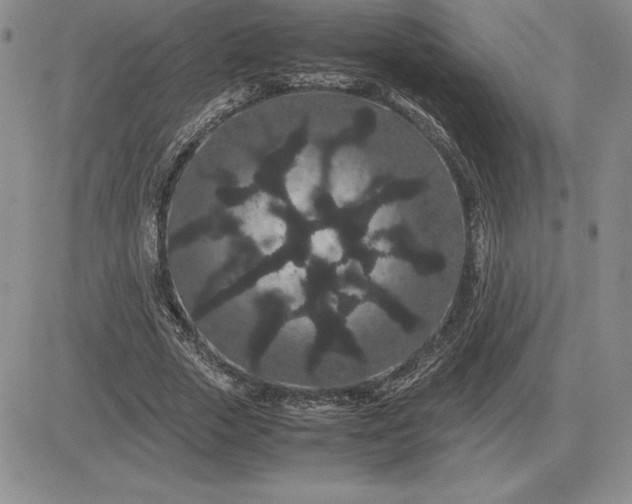 X0000081330729200701251832