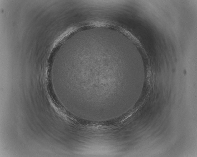 X0000081330730200701251832