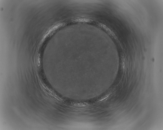 X0000081330731200701251832