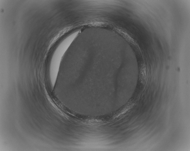 X0000081330734200701251832