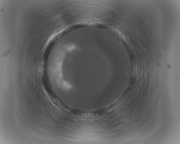 X0000081330736200701251832