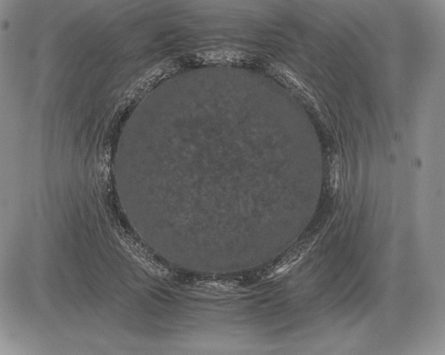 X0000081330737200701251832