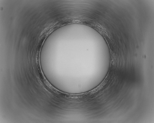 X0000081330740200701251833