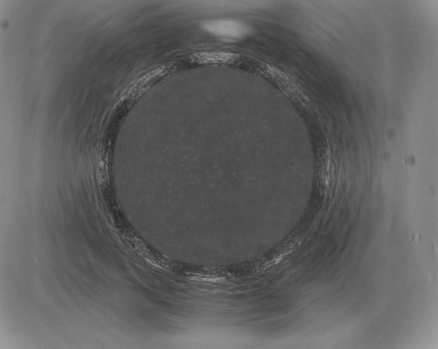 X0000081330743200701251833