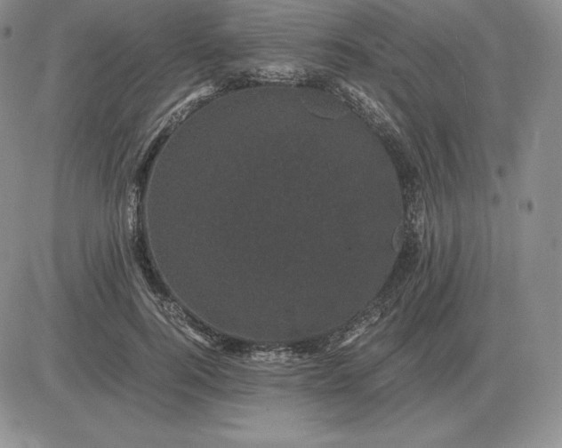 X0000081330744200701251833