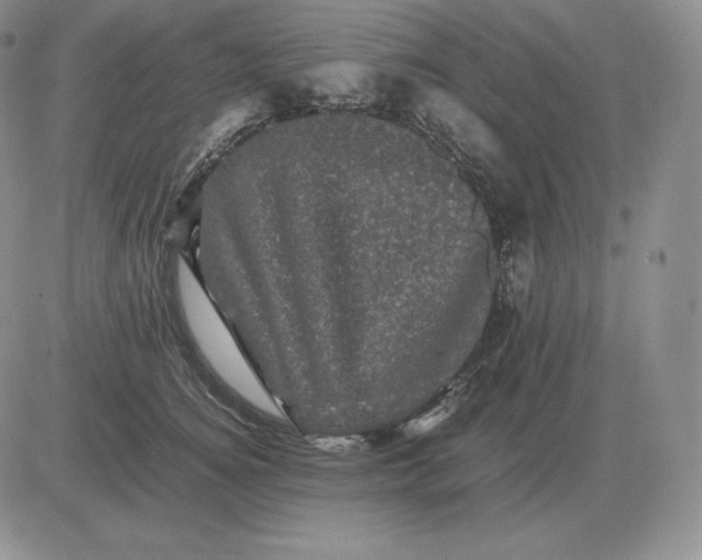 X0000081330756200701251833