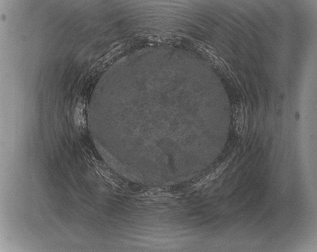 X0000081330770200701251832