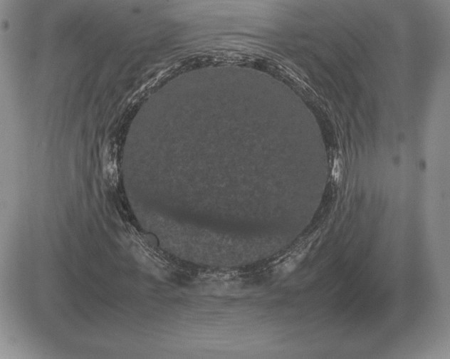 X0000081330771200701251832