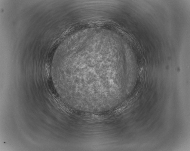 X0000081330772200701251832