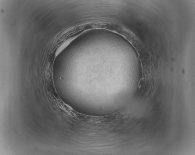 X0000081330773200701251832