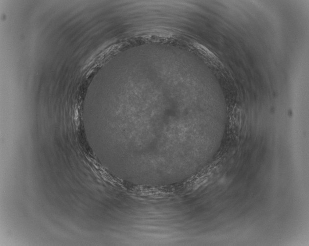 X0000081330774200701251832