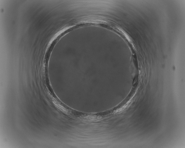 X0000081330779200701251832