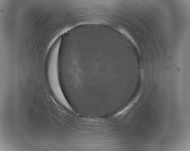 X0000081330781200701251832