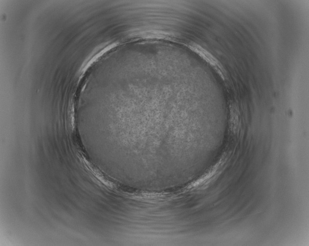 X0000081330782200701251832
