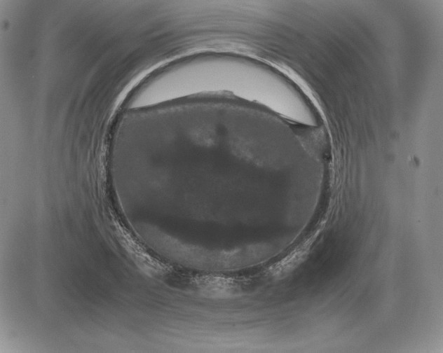 X0000081330783200701251832