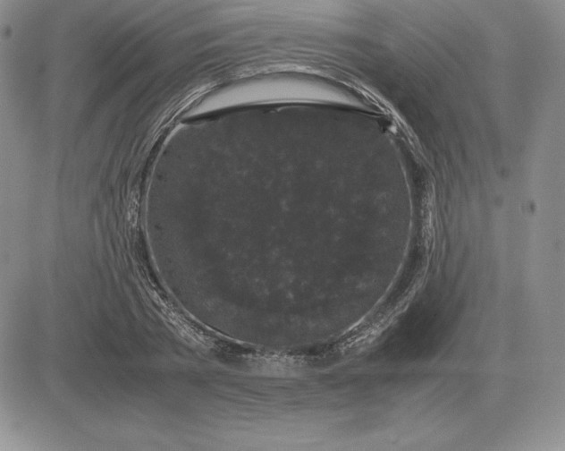 X0000081330785200701251832