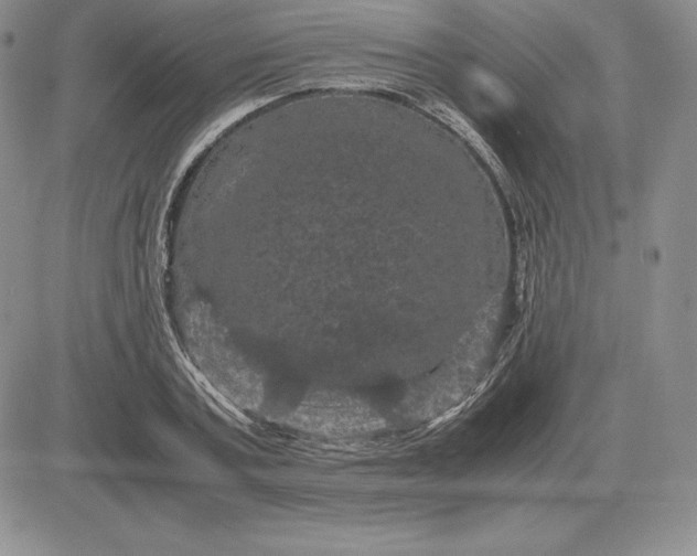 X0000081330787200701251832