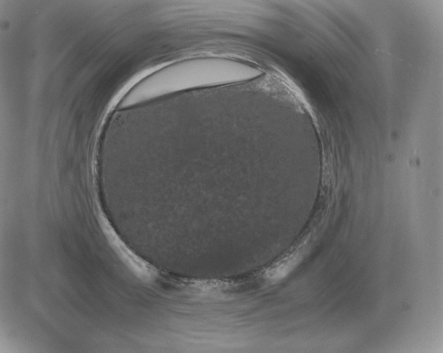 X0000081330803200701251832