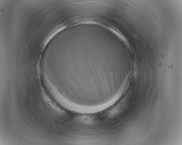 X0000081330806200701251832