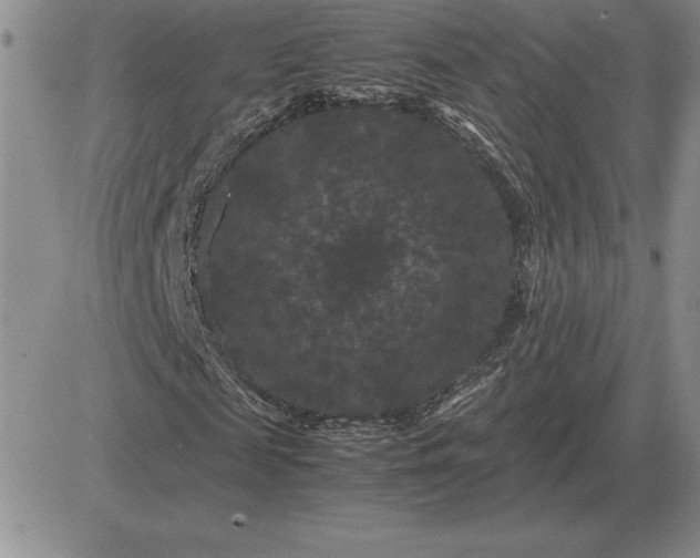 X0000081330817200701251831