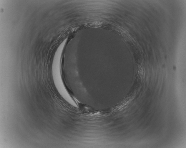 X0000081330818200701251831