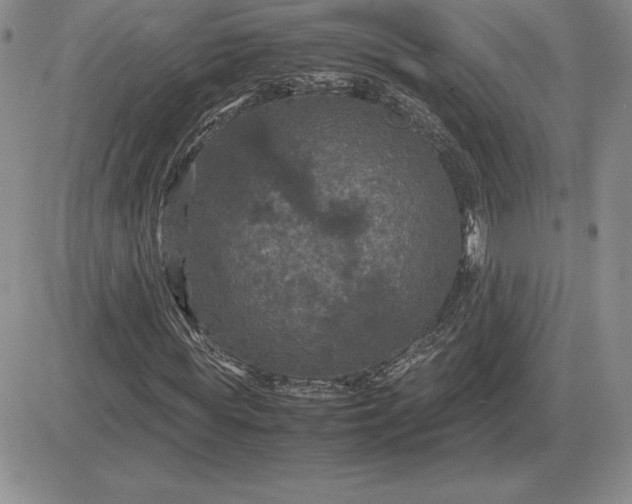 X0000081330819200701251831