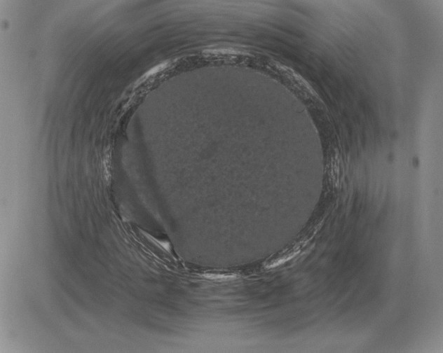 X0000081330821200701251831