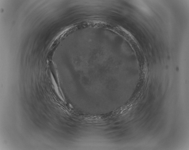 X0000081330823200701251831