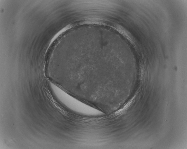X0000081330830200701251831