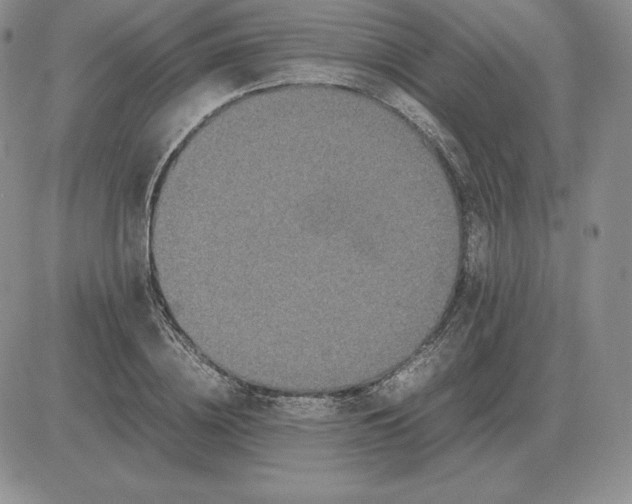 X0000081330836200701251831