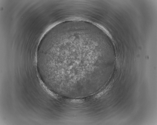 X0000081330839200701251831