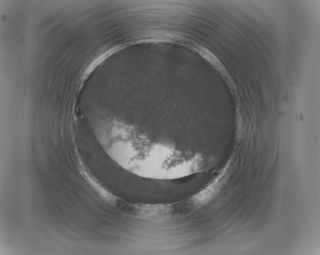 X0000081330842200701251831