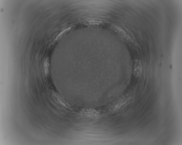 X0000081330866200701251831