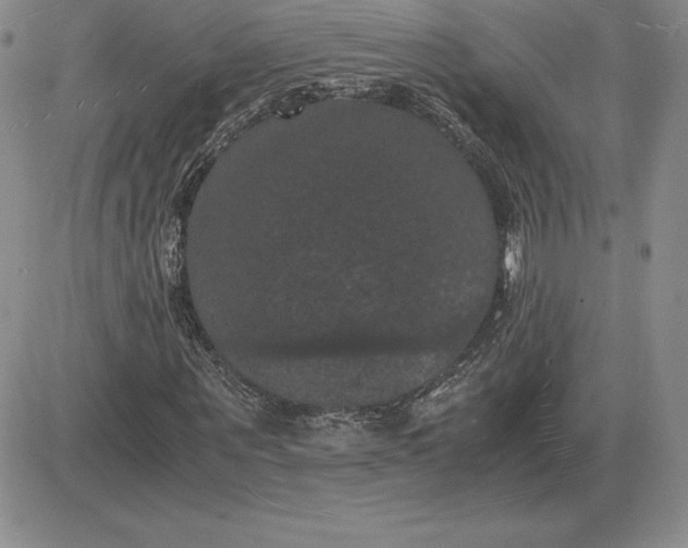 X0000081330867200701251831