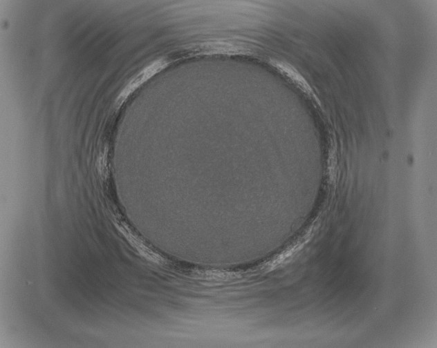 X0000081330873200701251830