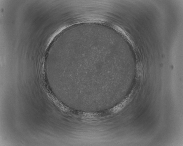 X0000081330875200701251830