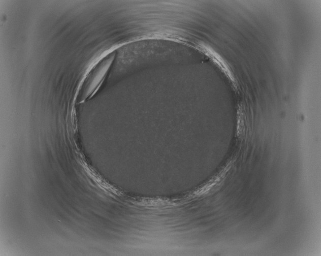 X0000081330876200701251830