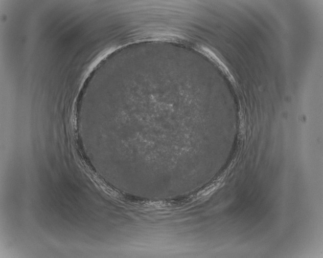X0000081330883200701251830