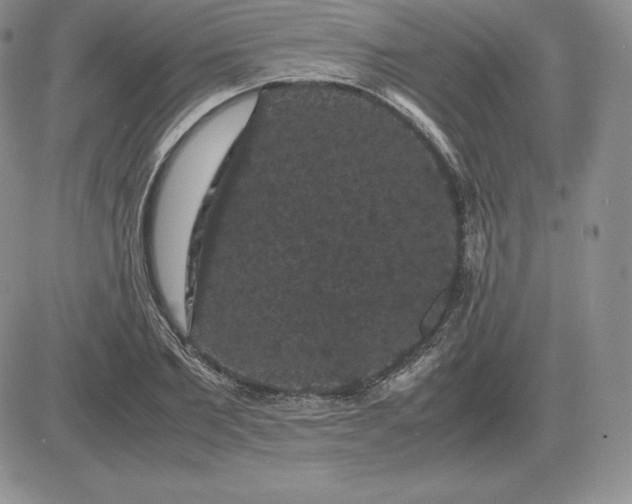 X0000081330885200701251830