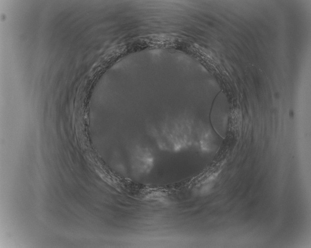 X0000081330913200701251829
