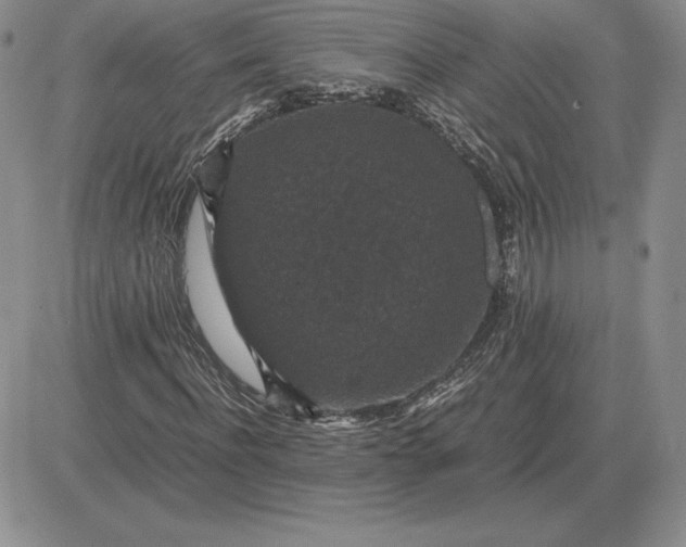 X0000081330916200701251829