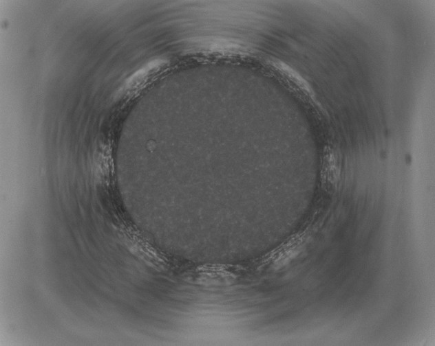 X0000081330918200701251829