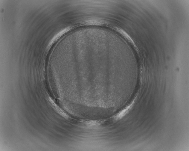 X0000081330930200701251829